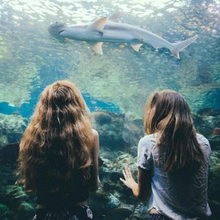 小森林素材铺 第237张.jpg